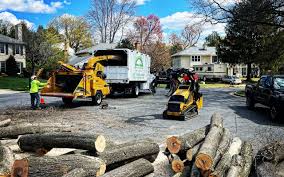 Leaf Removal Services in Guin, AL