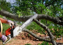 Reliable Guin, AL  Tree Services Solutions